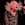 Bobby emote for Discord