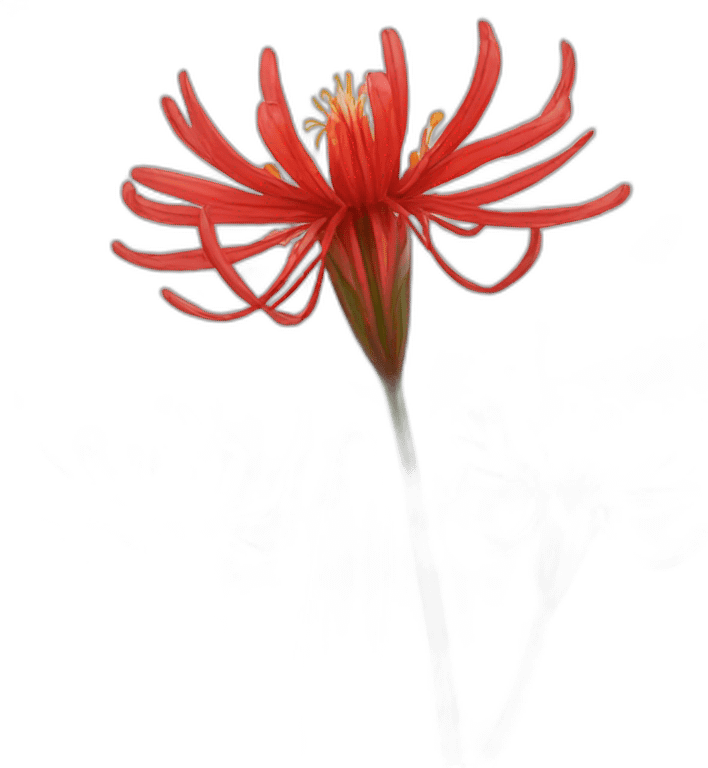 spider_lily emote for Discord