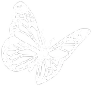 Butterfly emote for Discord