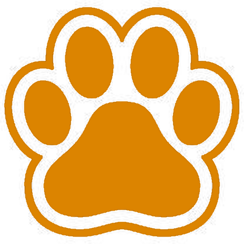 orange emote for Discord