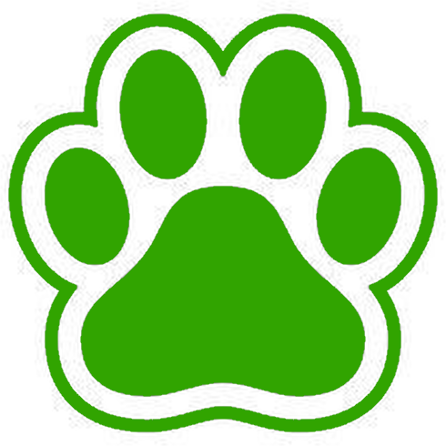 green emote for Discord