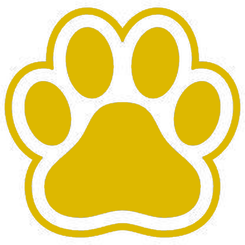 yellow emote for Discord