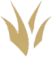 orman emote for Discord