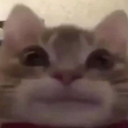 ce_didnotlaf emote for Discord