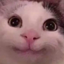 happcotto emote for Discord