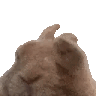 vibe emote for Discord