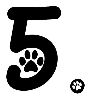 five emote for Discord