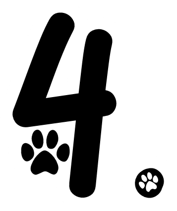 four emote for Discord