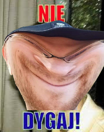 niedygaj emote for Discord