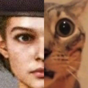 jillcat emote for Discord