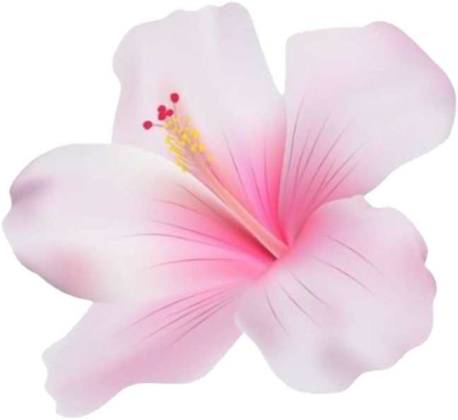 hibiscus emote for Discord