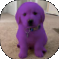 houseofpurpledog emote for Discord