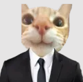 KittyCat emote for Discord