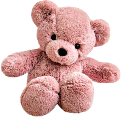 Teddy emote for Discord