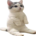 catSit emote for Discord