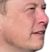 elonsus emote for Discord