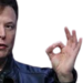 elonokay emote for Discord