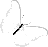 white_butterfly emote for Discord