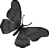 black_butterfly emote for Discord