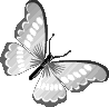 grey_butterfly emote for Discord