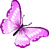 magenta_butterfly emote for Discord