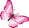 pink_butterfly emote for Discord