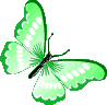 green_butterfly emote for Discord