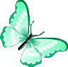 teal_butterfly emote for Discord