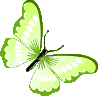 lime_green_butterfly emote for Discord