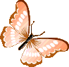 orange_butterfly emote for Discord