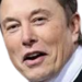 elonhardyharhar emote for Discord