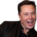 elonheyhey emote for Discord