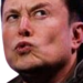 elonwhatthe emote for Discord