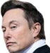 elonaboveit emote for Discord