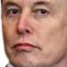 elonwtf emote for Discord