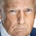 trumpstern emote for Discord