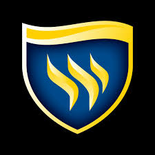Texas_Wesleyan_University emote for Discord