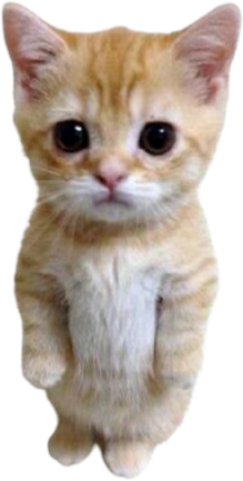 kitty static emote