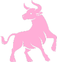 zodiactransparent_IDS emote for Discord