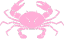 zodiactransparent_IDS emote for Discord