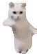 catDance emote for Discord