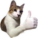 thumbsupcat emote for Discord