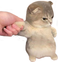 kitterhmph emote for Discord