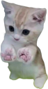 toebeans emote for Discord