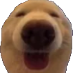 Dwag emote for Discord