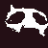 CatInsanity2 emote for Discord