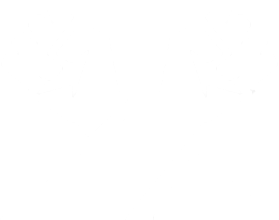 Vanguard emote for Discord