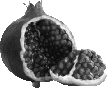 goth_pomegranate emote for Discord