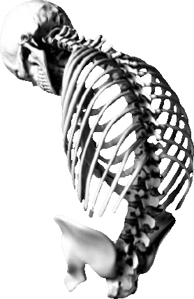 skeleton_hunched emote for Discord