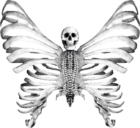 skeleton_butterfly emote for Discord